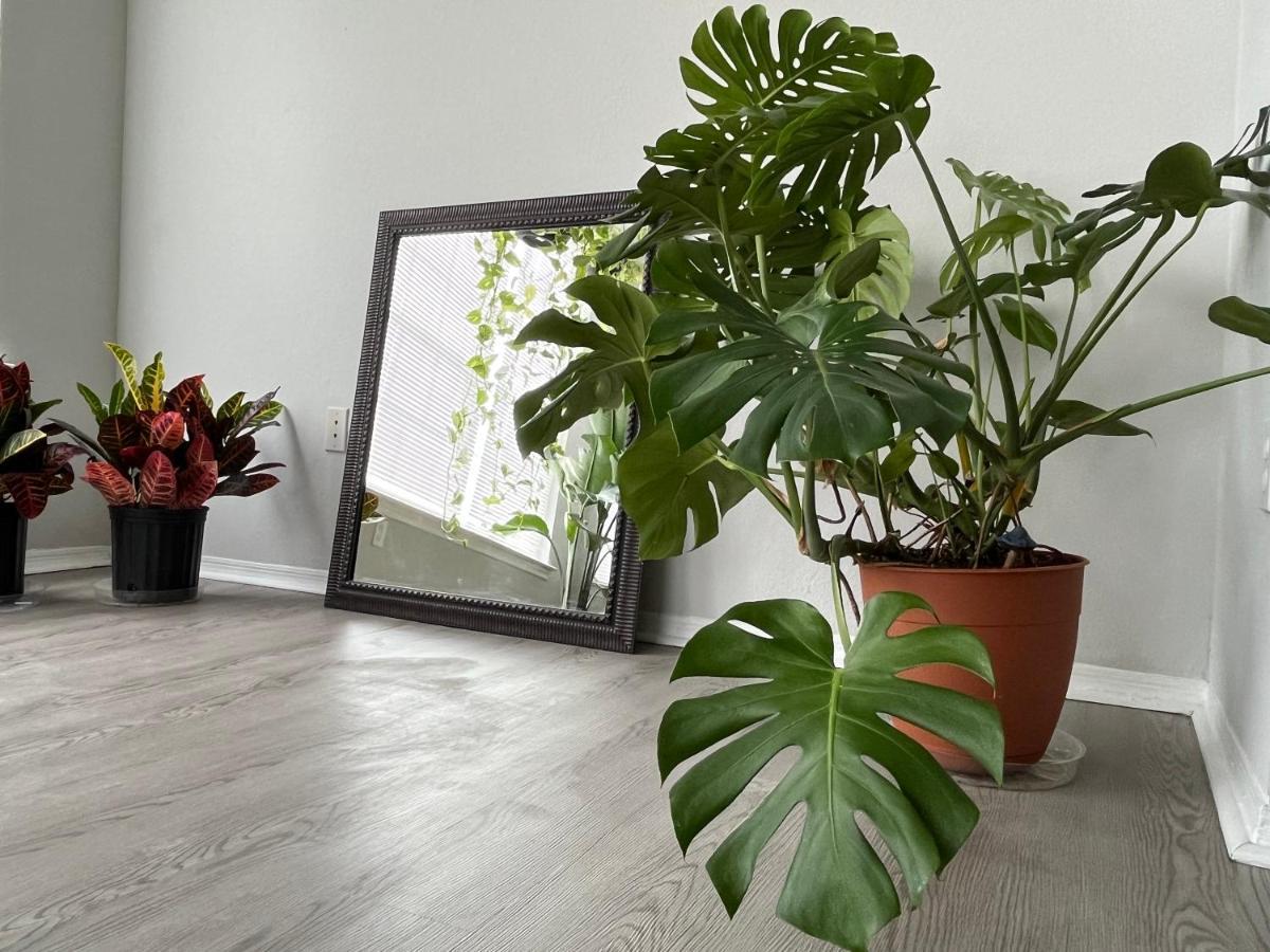 Next To Universal! 2Bedroom-2Bath-Many Indoor Plants Orlando Bagian luar foto